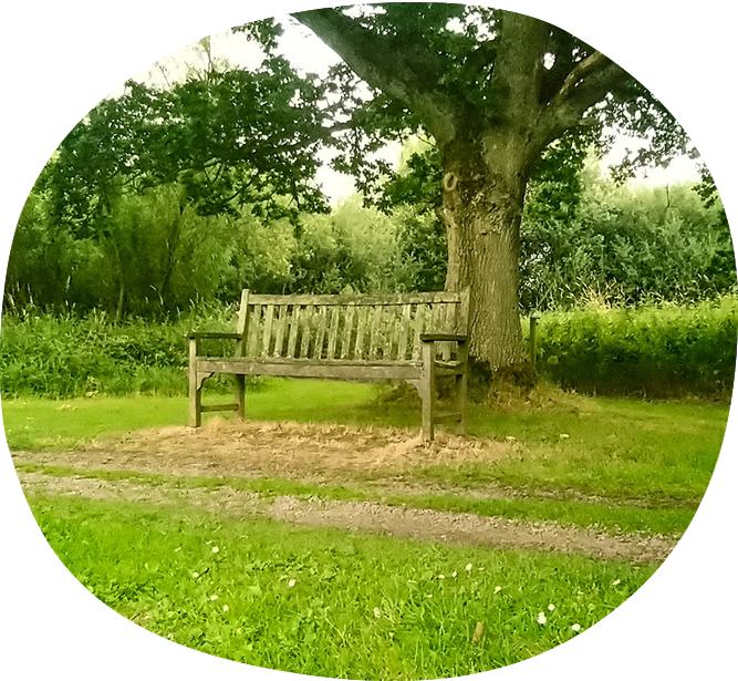 Lonsdale Park scenery