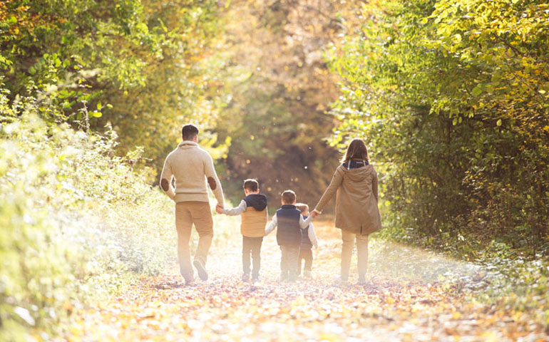forest walks